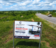 Crestshield – Where Security meets Serenity