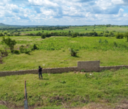 Crestshield – Where Security meets Serenity